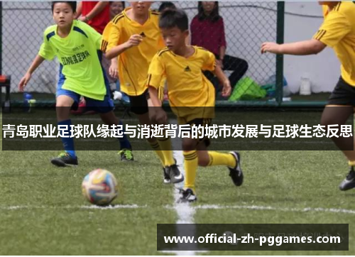 青岛职业足球队缘起与消逝背后的城市发展与足球生态反思