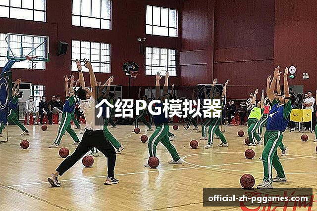 介绍PG模拟器